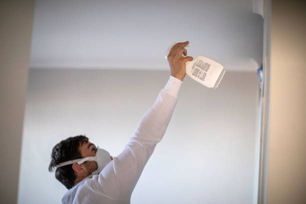 Best Residential Mold Remediation in Vineyard, CA