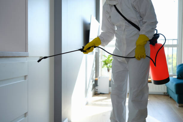 Best Emergency Mold Remediation in Vineyard, CA