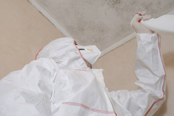 Best Bathroom Mold Remediation in Vineyard, CA